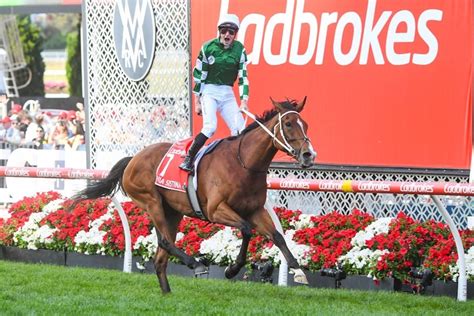 Cox Plate Betting 2024 .